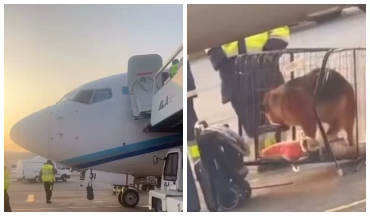 «300 тысяч тенге потрачены впустую»: пассажирка пожаловалась на авиакомпанию