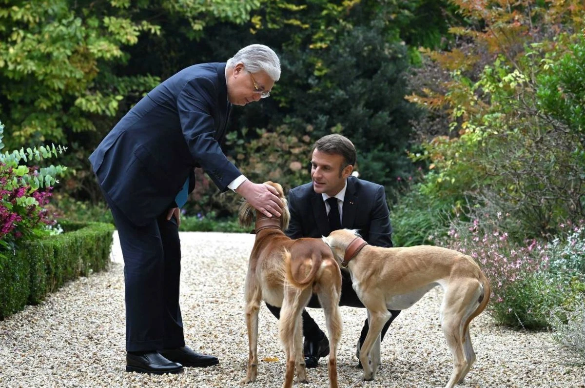 Президент Касым-Жомарт Токаев утвердил 3 сентября как «День казахской тазы и тобета».