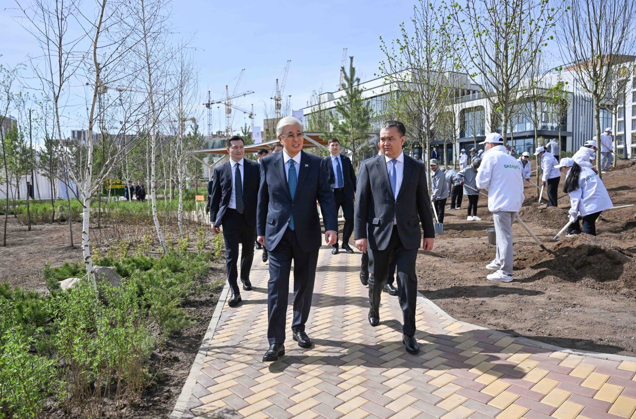 В этом году в стране было высажено 2,4 миллиона саженцев.