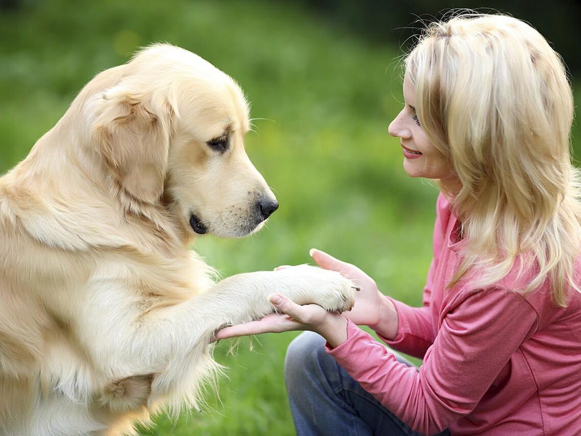 Ответственность за жестокое обращение с животными будет ужесточена