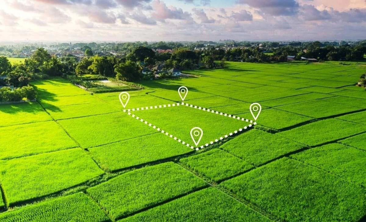 Теперь землю можно будет получить онлайн