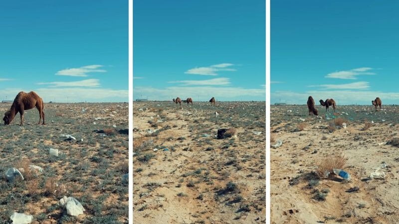 Акимат прокомментировал видео со свалкой в Мангистау