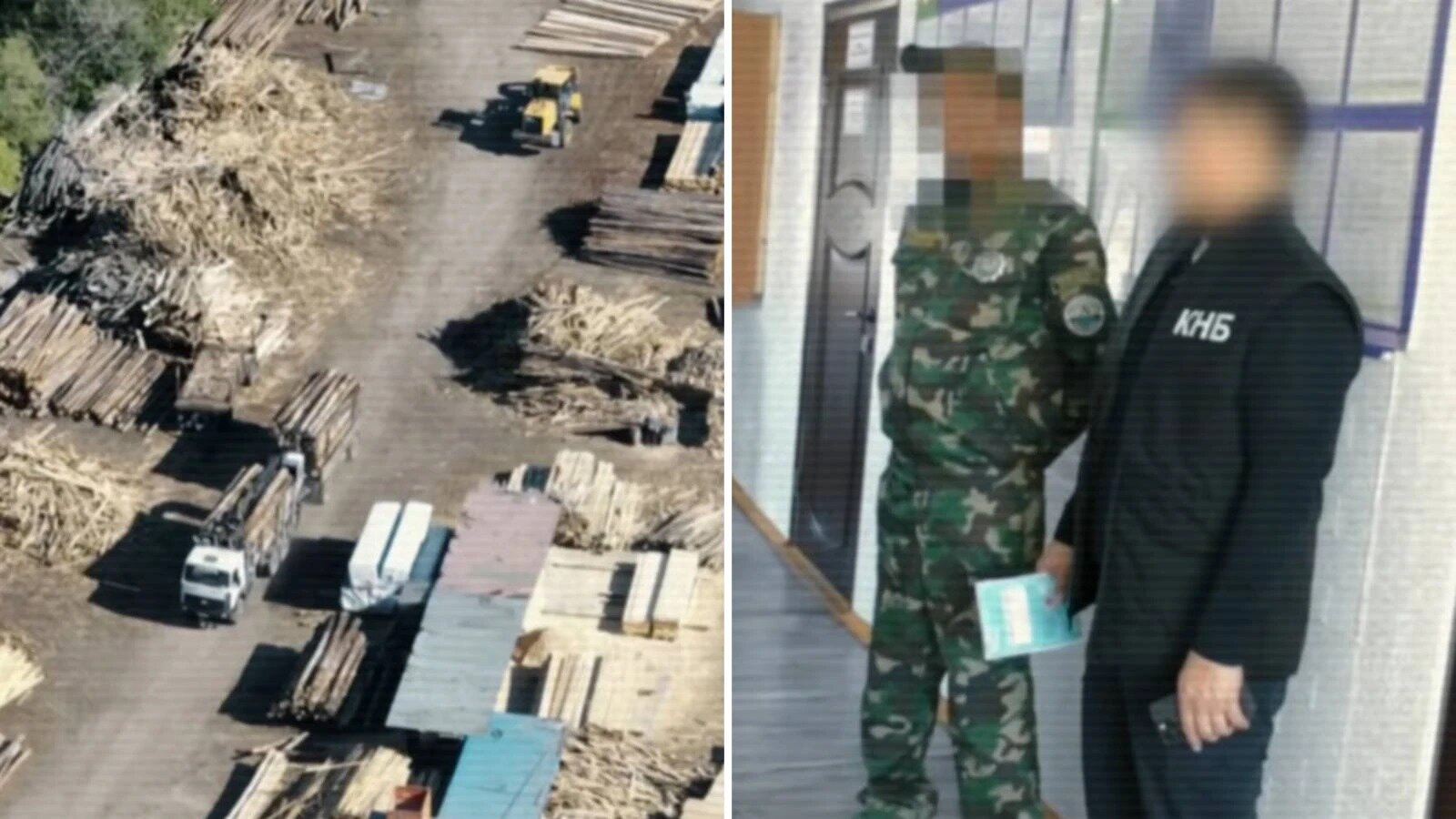 В «Семей ормане» задержали должностных лиц, подозреваемых в незаконной вырубке деревьев